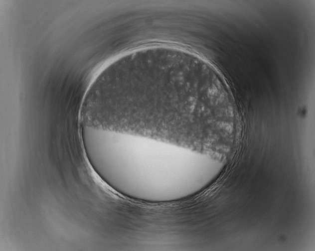 X0000116061535200911201149