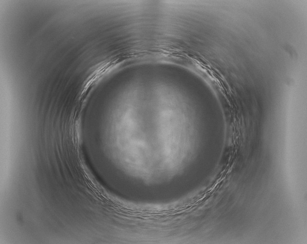 X0000116060002200911201505