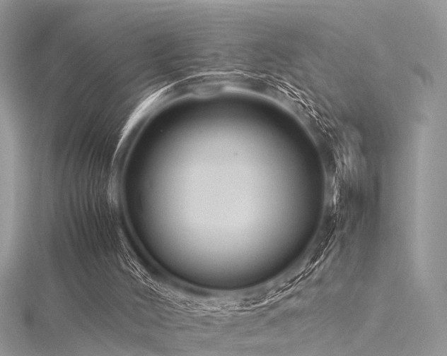 X0000116060004200911201505