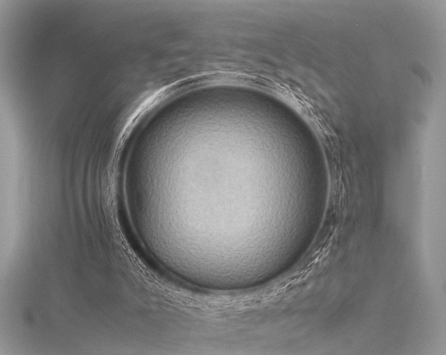 X0000116060007200911201505