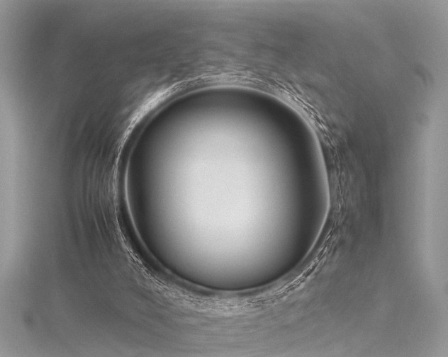 X0000116060008200911201505