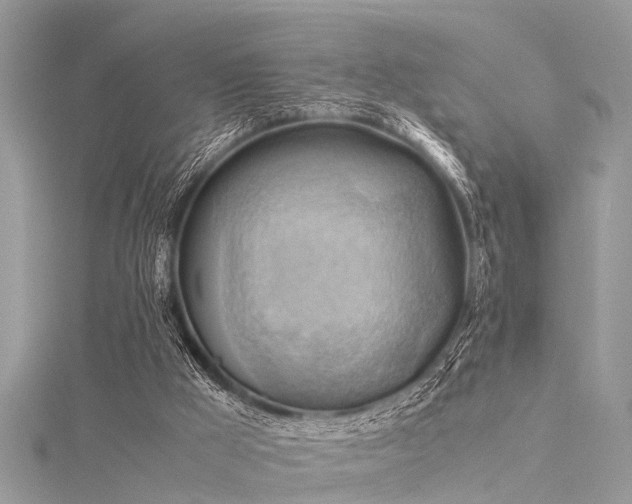 X0000116060009200911201505