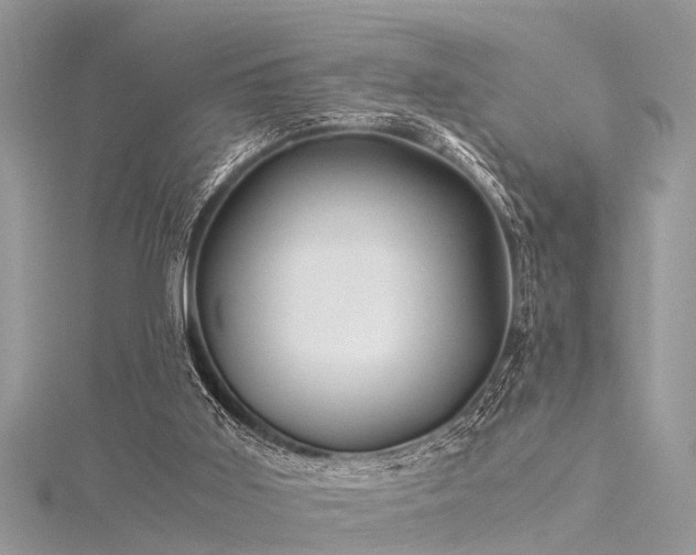 X0000116060011200911201505