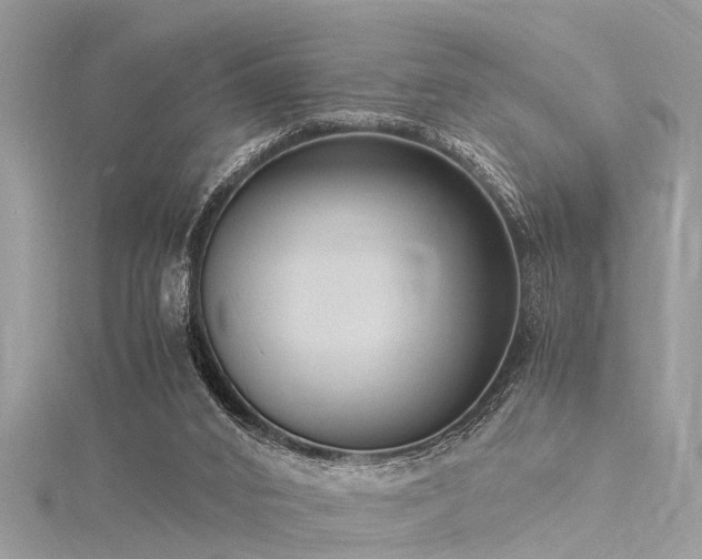 X0000116060016200911201505