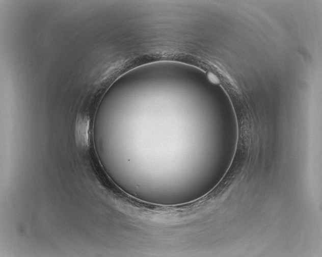 X0000116060024200911201505