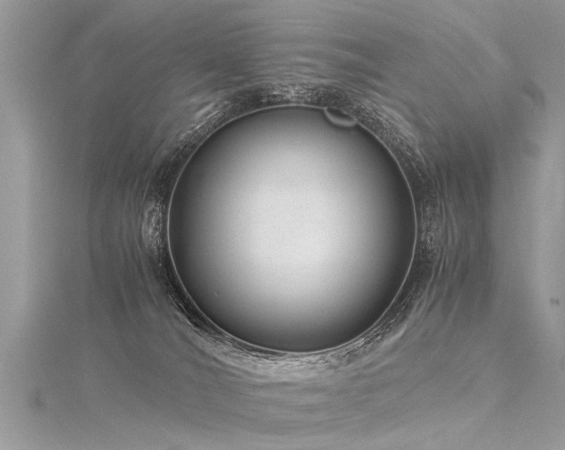 X0000116060036200911201505