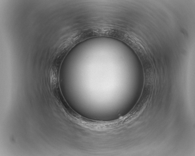 X0000116060040200911201505