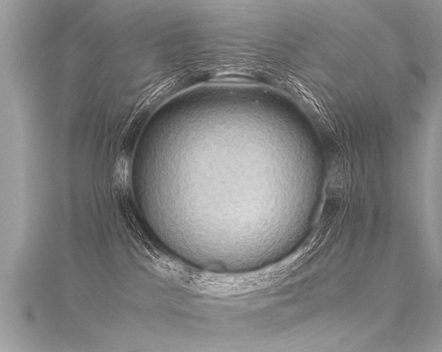 X0000116060045200911201505