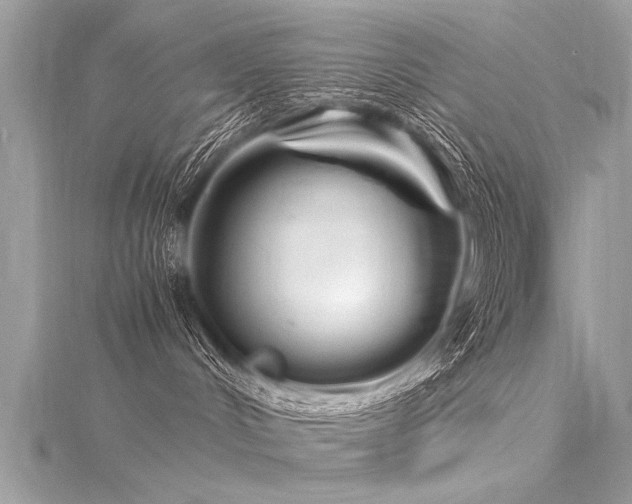 X0000116060048200911201505