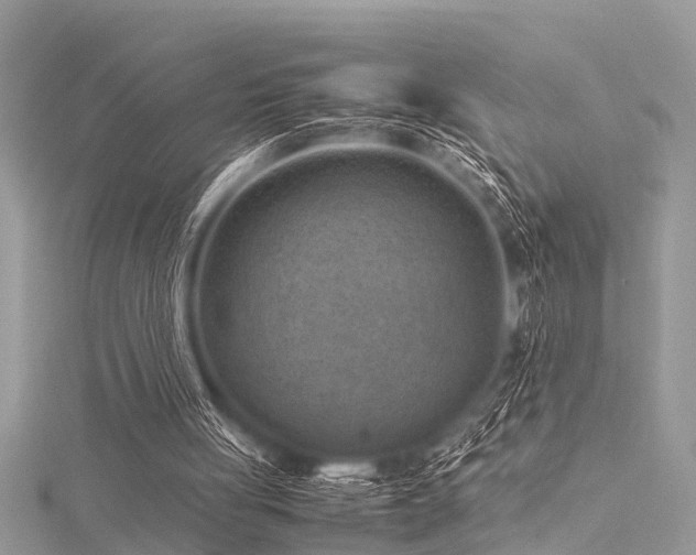 X0000116060051200911201504