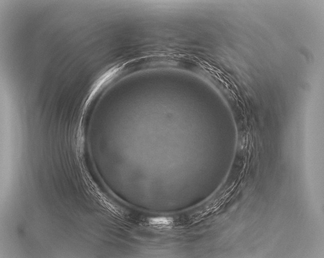 X0000116060053200911201504