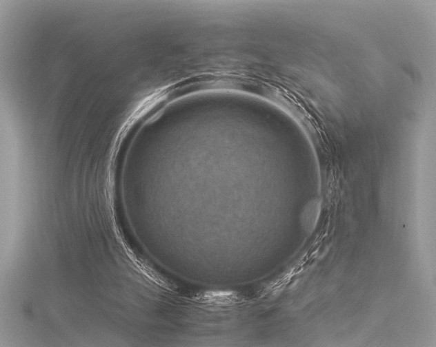 X0000116060055200911201504