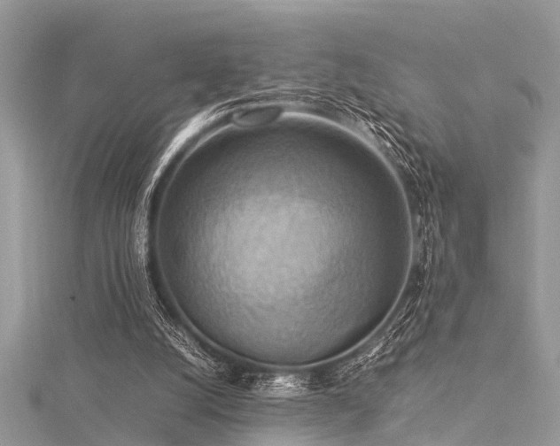 X0000116060056200911201504
