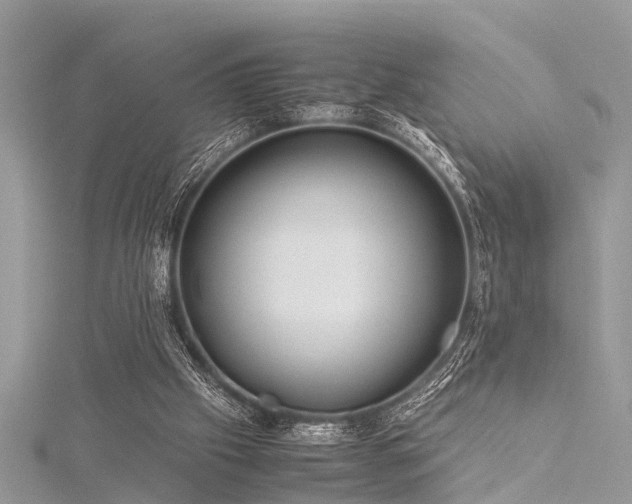 X0000116060057200911201504