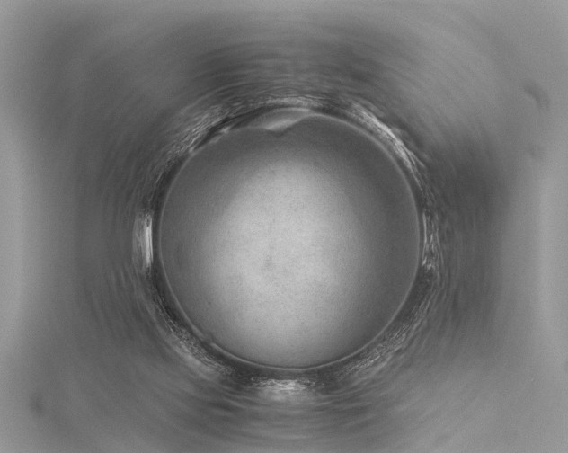 X0000116060061200911201504