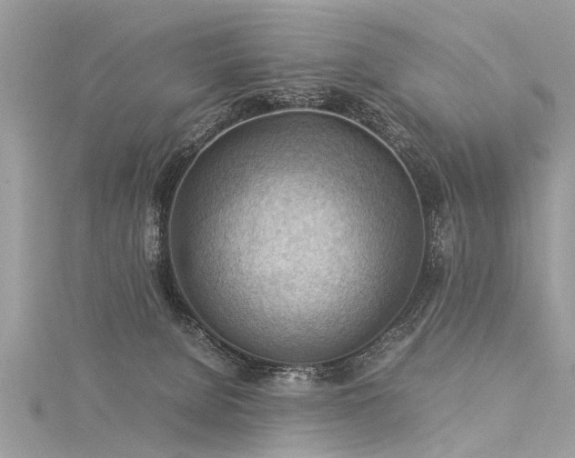 X0000116060080200911201504