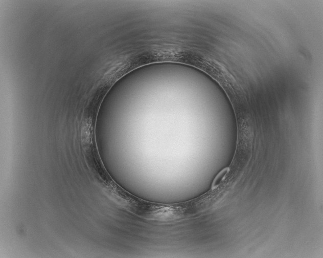 X0000116060083200911201504