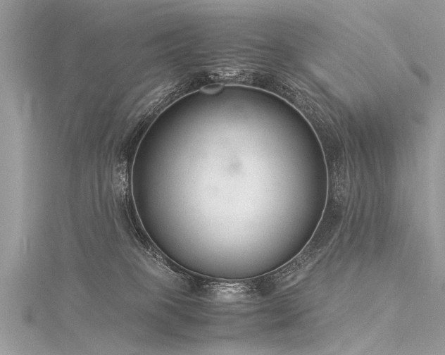 X0000116060085200911201504