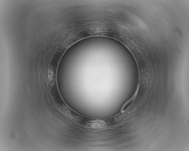X0000116060087200911201504