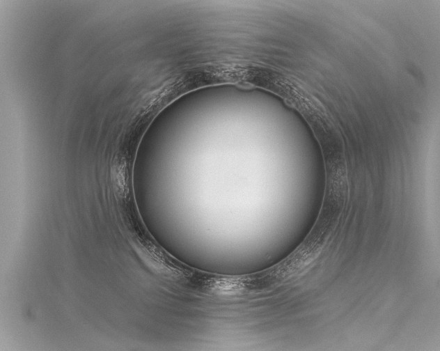 X0000116060088200911201504