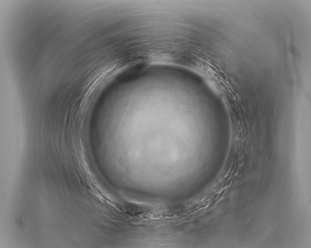 X0000116060097200911201504
