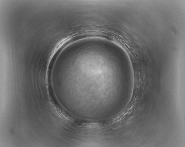 X0000116060104200911201504