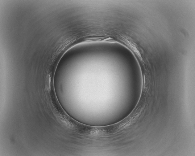 X0000116060109200911201504