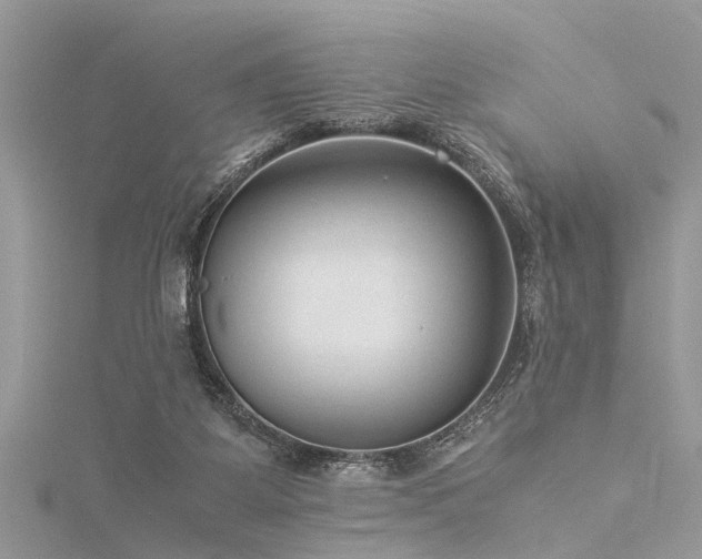 X0000116060115200911201504