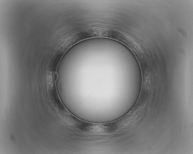 X0000116060121200911201504