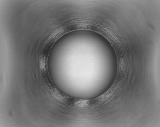 X0000116060138200911201503