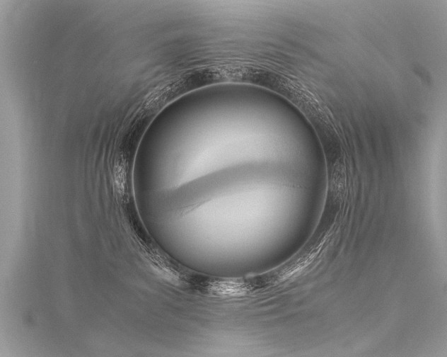 X0000116060139200911201503