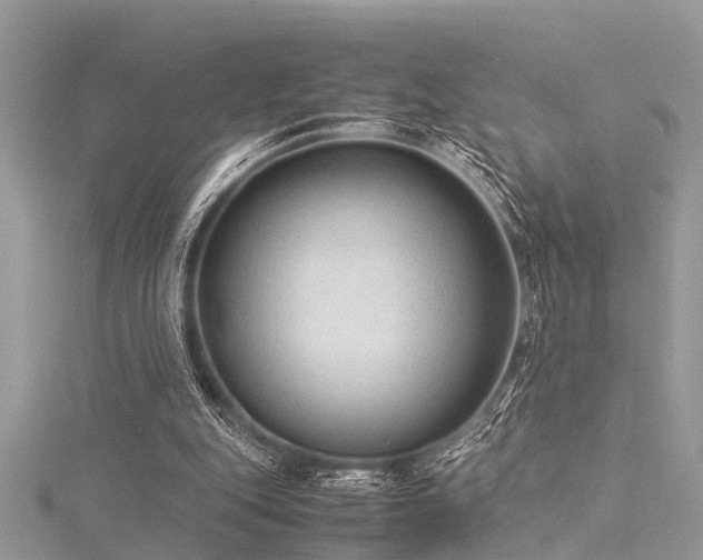 X0000116060151200911201503