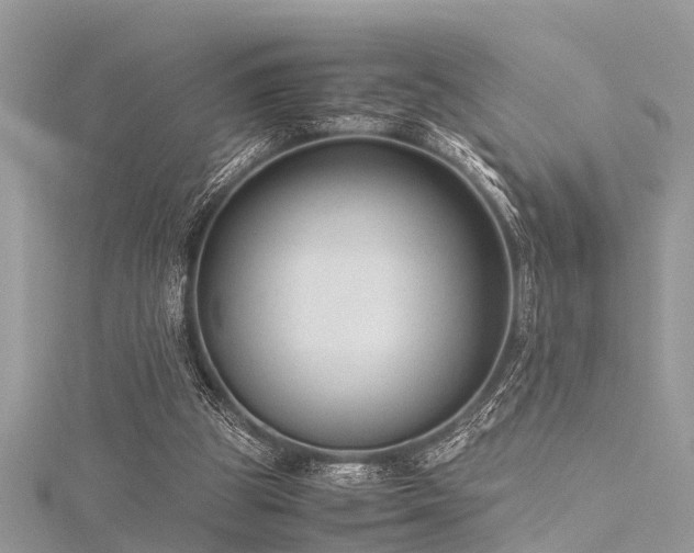 X0000116060153200911201503