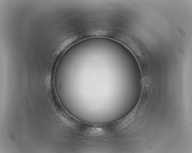 X0000116060159200911201503