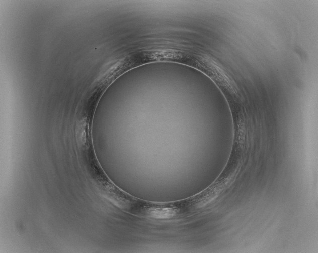 X0000116060169200911201503
