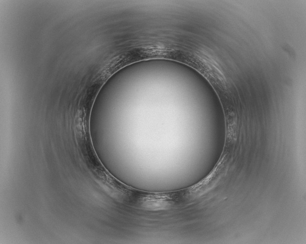 X0000116060179200911201503