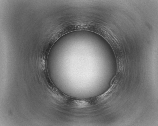 X0000116060183200911201503