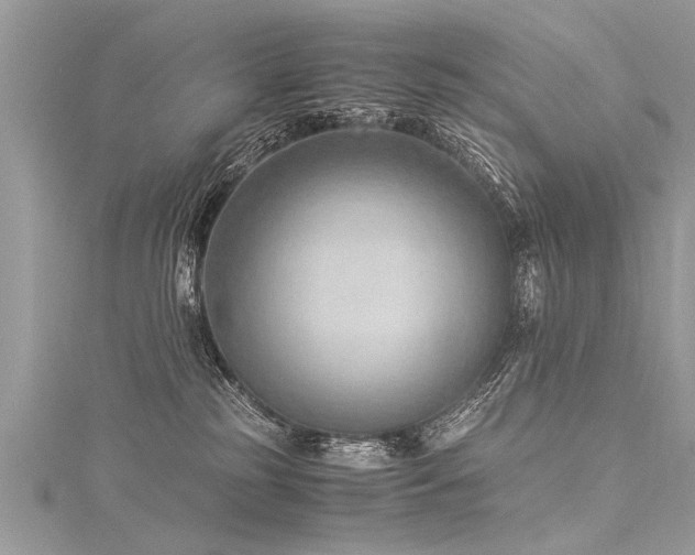 X0000116060185200911201503