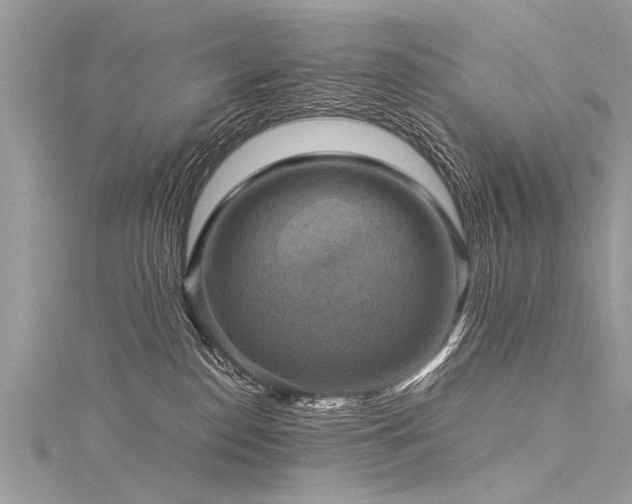 X0000116060186200911201503