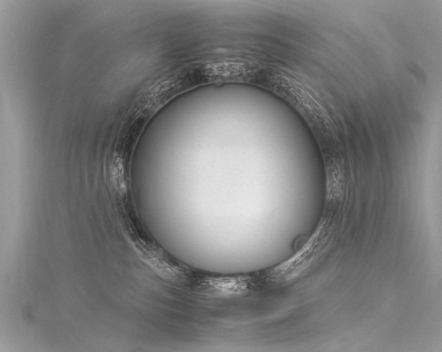 X0000116060187200911201503