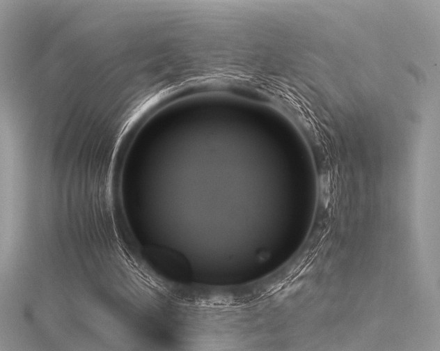 X0000116060196200911201503