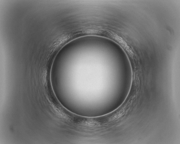 X0000116060201200911201503