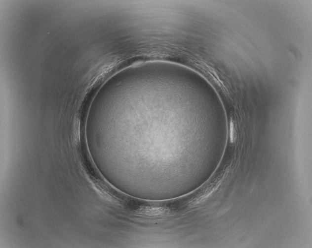 X0000116060205200911201503