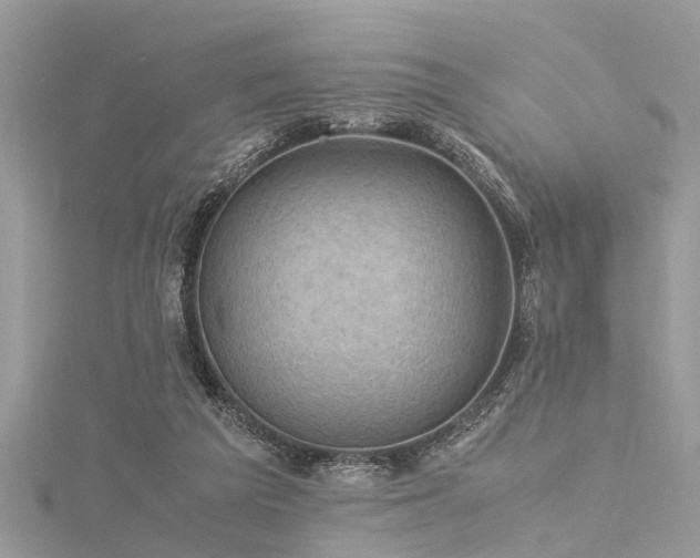 X0000116060209200911201502