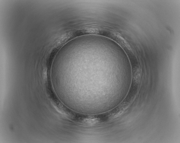 X0000116060213200911201502