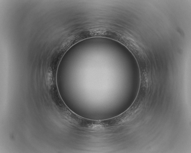X0000116060224200911201502