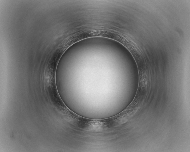 X0000116060226200911201502