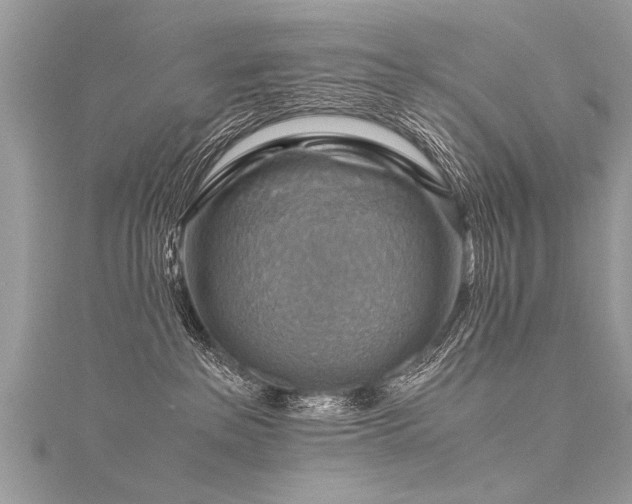 X0000116060237200911201502