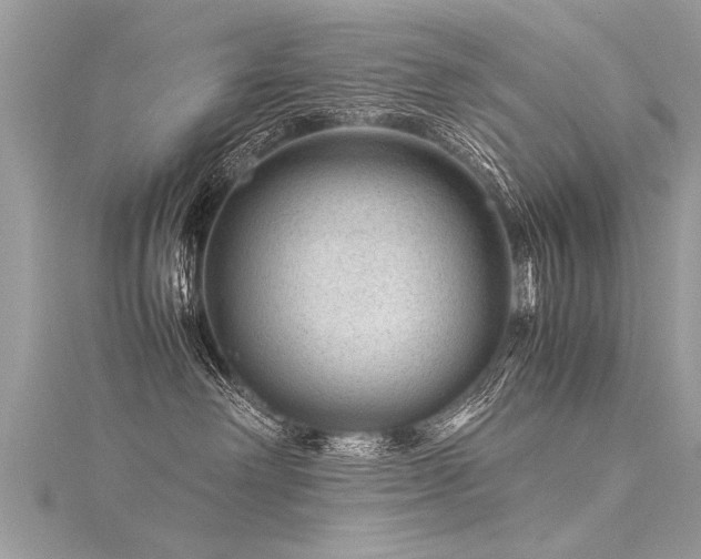 X0000116060238200911201502