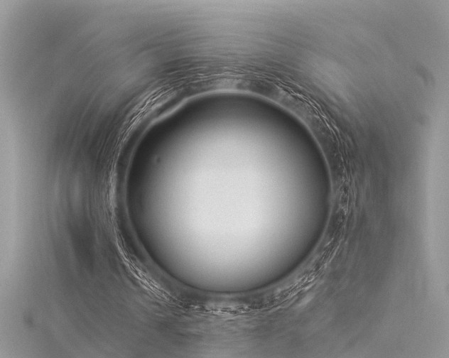 X0000116060242200911201501